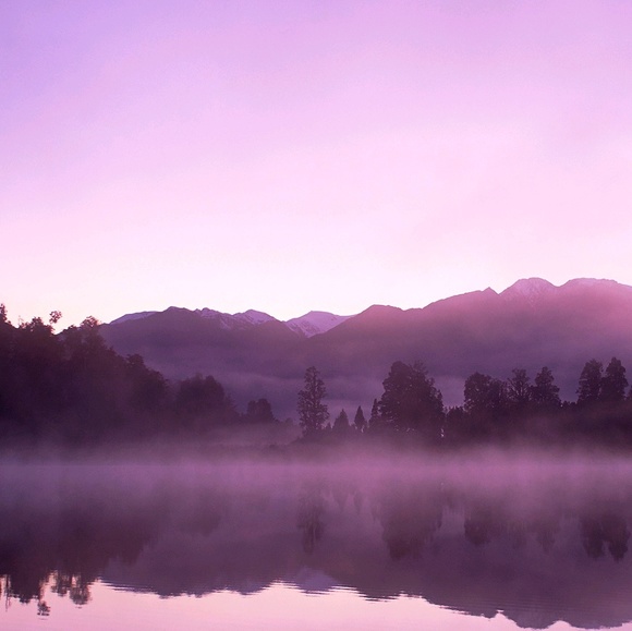 Meet your Posher, Chaya - Picture 1 of 1